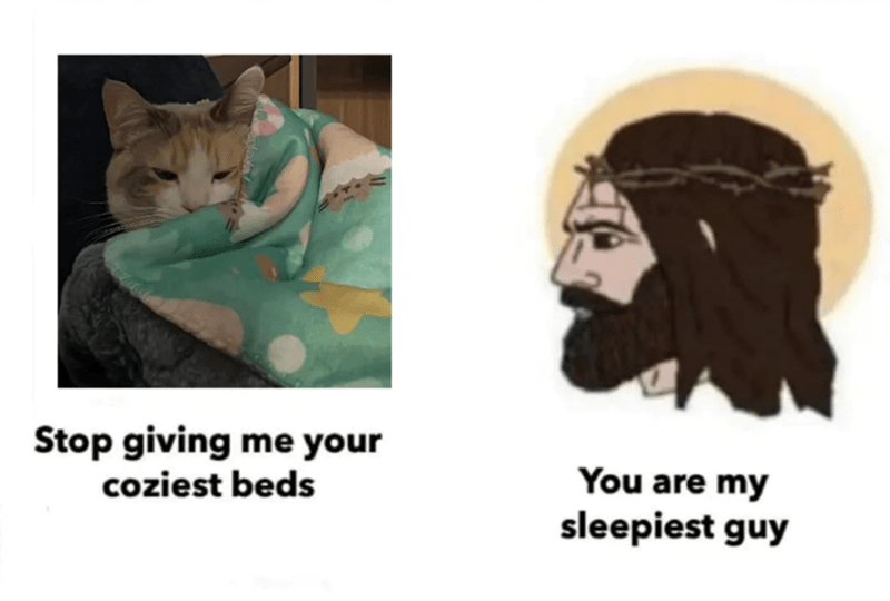 15 Fresh Juicy Memes: Stop giving me your coziest beds