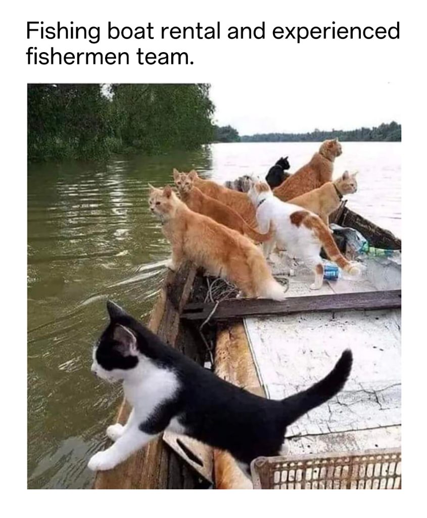 12 Meme Pics：Fishing boat rental and experienced fishermen team.