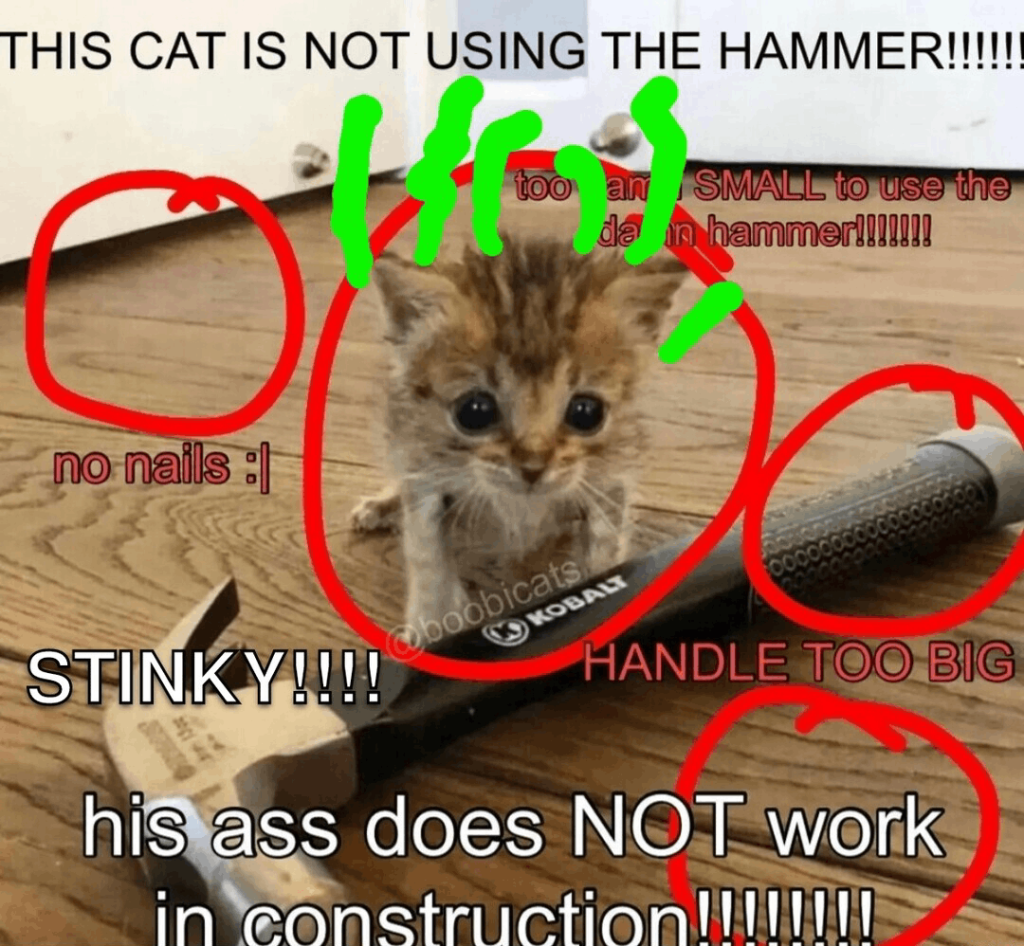 15 Hilarious Daily Memes: THIS CAT IS NOT USING THE HAMMER!!