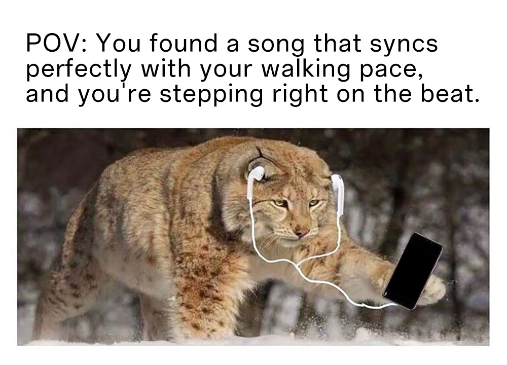 15 Meme Pics：You found a song that syncs perfectly with your walking pace