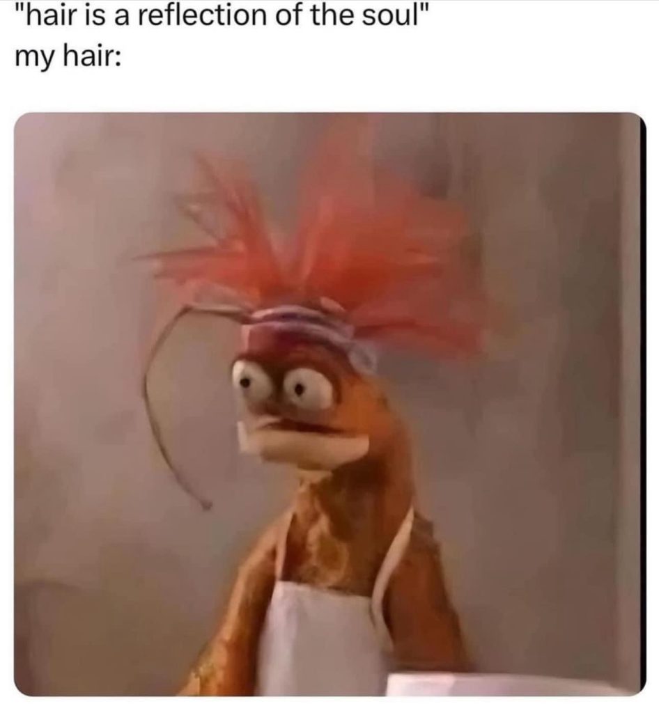 11 Meme Pics：hair is a reflection of the soul