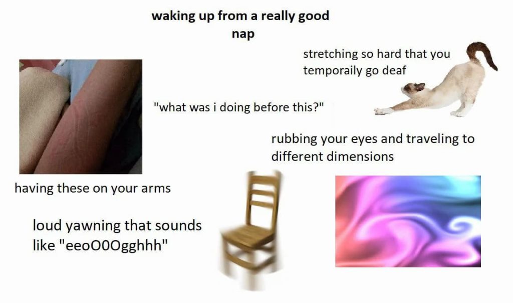 15 Random Funny Memes: Waking Up From A Really Good Nap