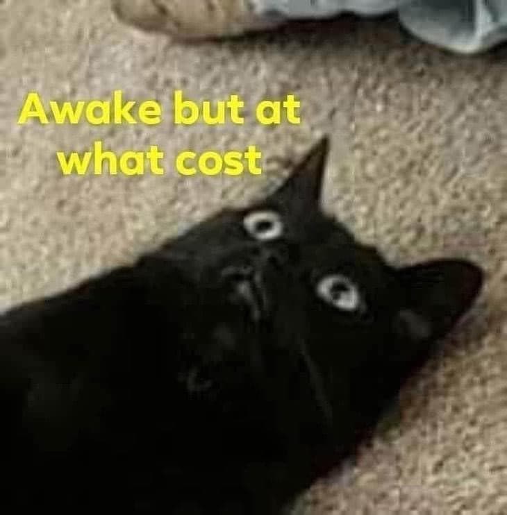 15 Funny Pictures Memes: Awake but atwhat cost