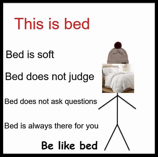 15 Random Funny Memes: This Is Bed, Bed Is Soft