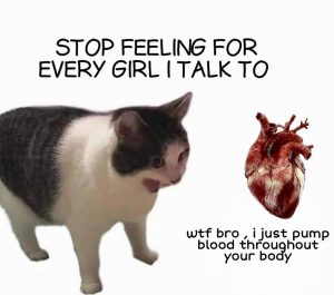 15 Funny Random Memes: Stop Feeling For Every Girl I Talk To.