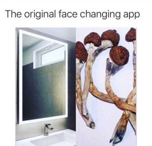 15 Funniest Memes: The Original Face Changing App.