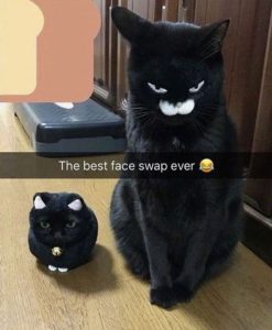 15 Random Memes Funny: The Best Face Swap Ever.