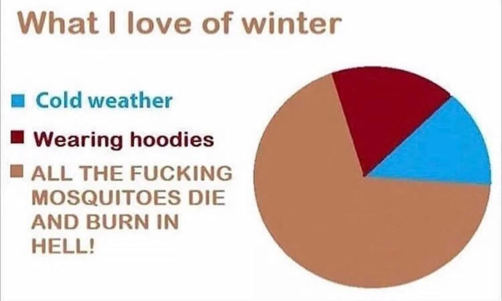 15 Daily Life Funny Memes: What I love Of Winter.