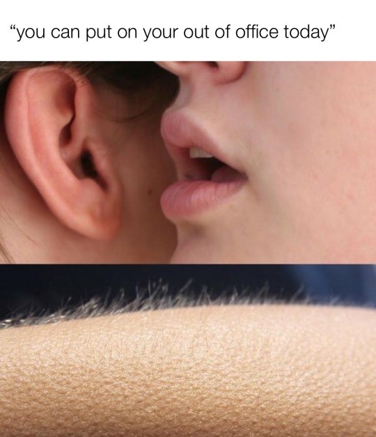 13 Whisper in Ear Goosebumps Meme Examples & Template