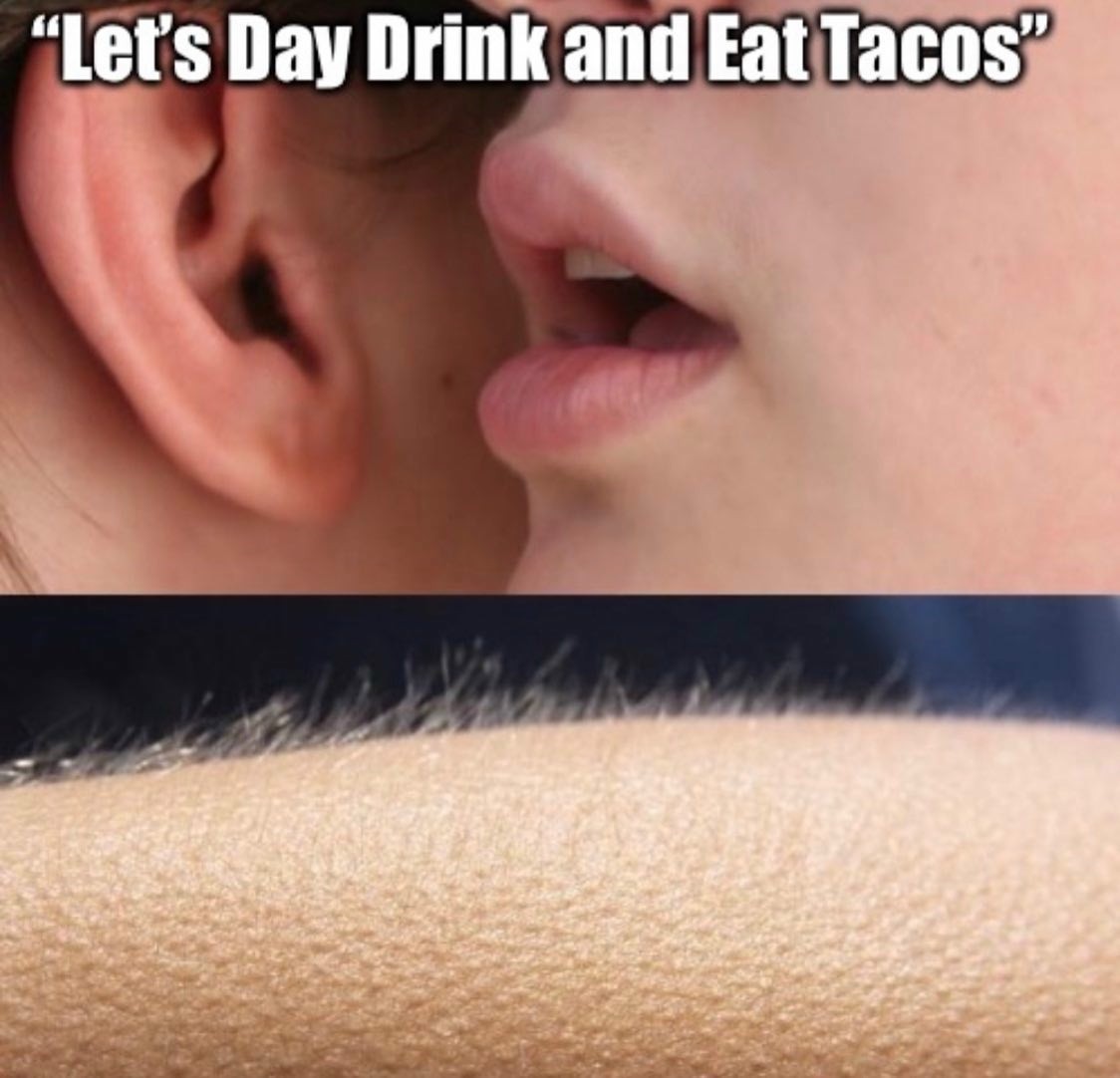 13 Whisper in Ear Goosebumps Meme Examples & Template