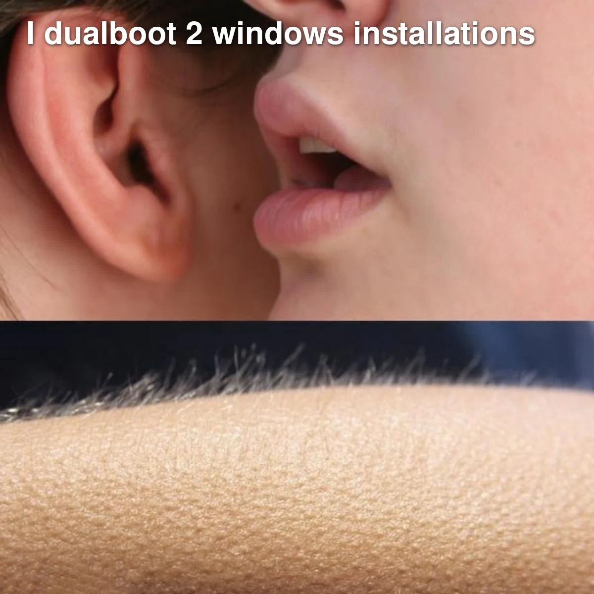 13 Whisper in Ear Goosebumps Meme Examples & Template