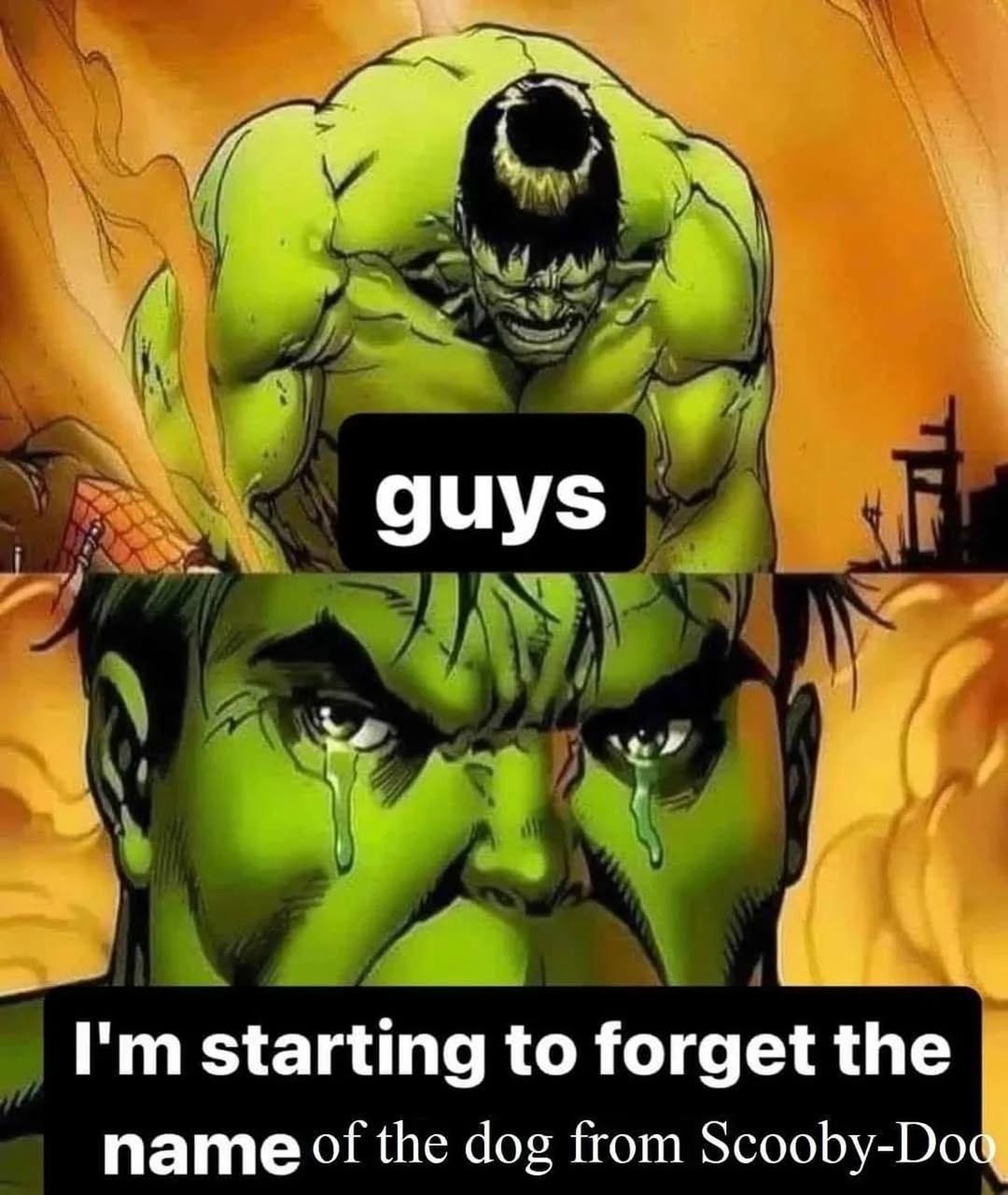 17 Crying Hulk Meme Templates & Examples 17 Crying Hulk Meme Templates & Examples
