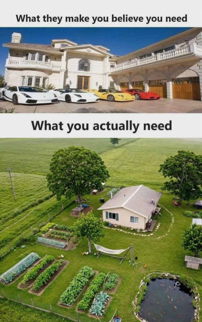What they make you believe you need vs what you actually need meme