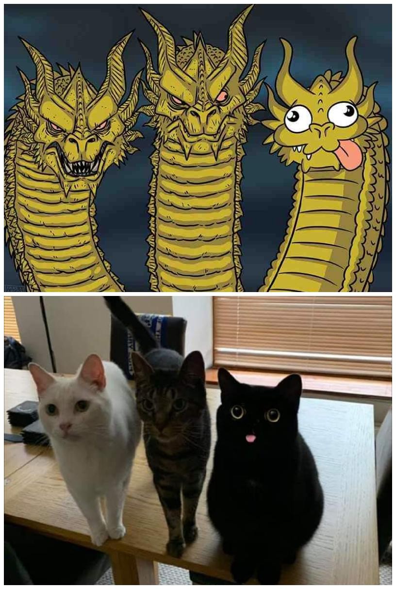 12 Three-Headed Dragon Meme (Plus a Template)