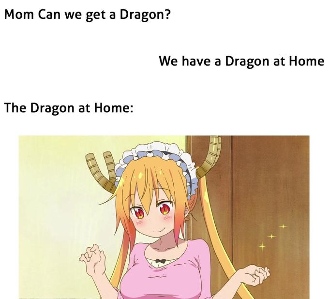 Mom can we get a dragon？