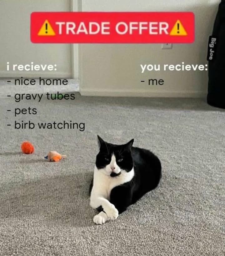 21 Trade Offer Memes (I receive, You receive): Template & Examples
