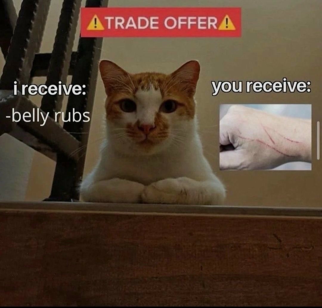 21 Trade Offer Memes (I receive, You receive): Template & Examples