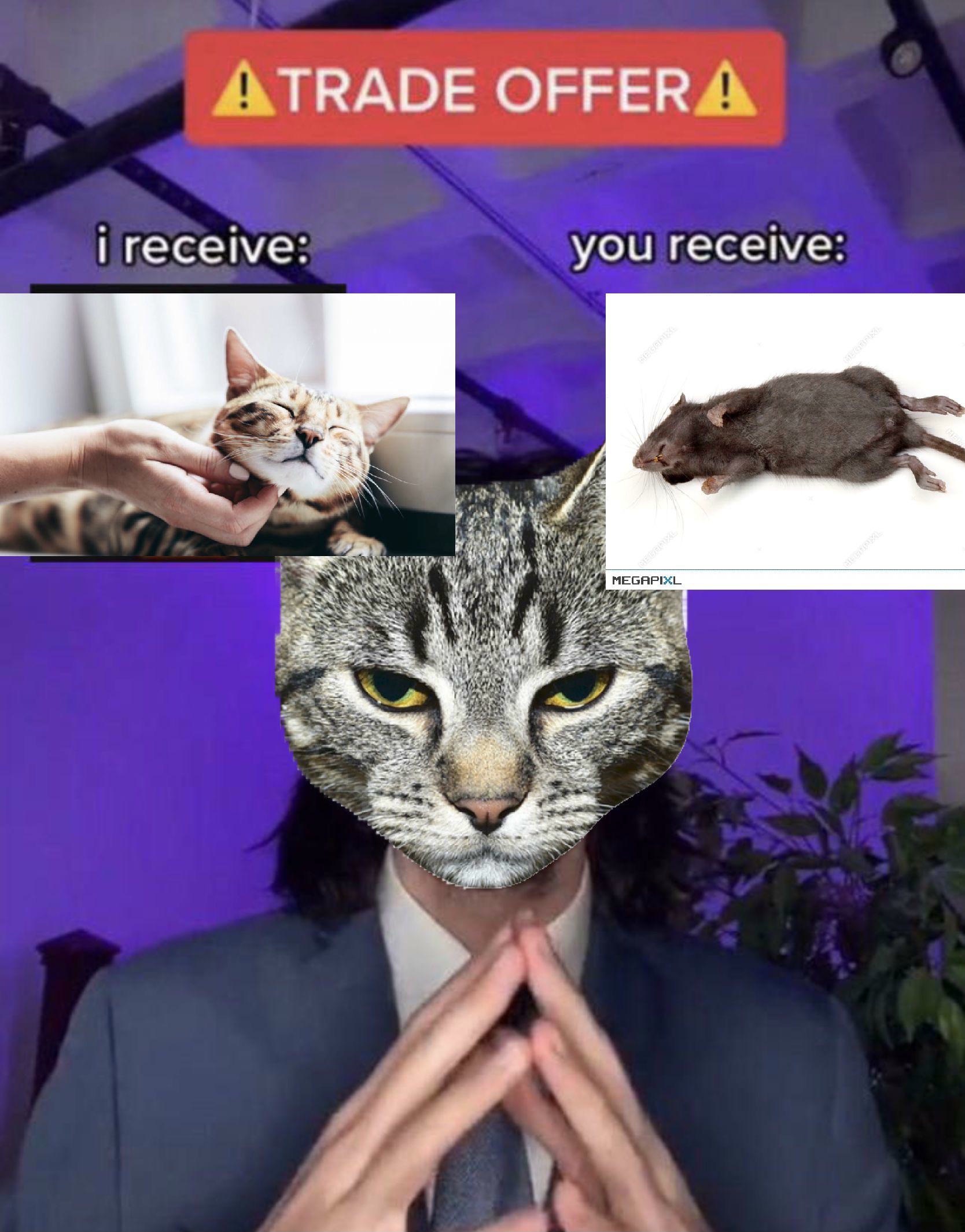 21 Trade Offer Memes (I receive, You receive): Template & Examples