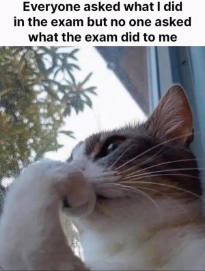 What the exam did to me meme