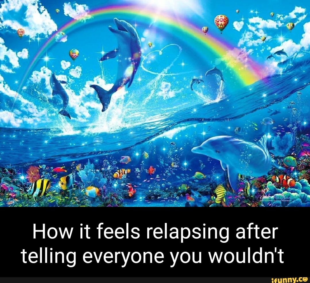 18 Best Rainbow Dolphin Memes: Templates and Meaning