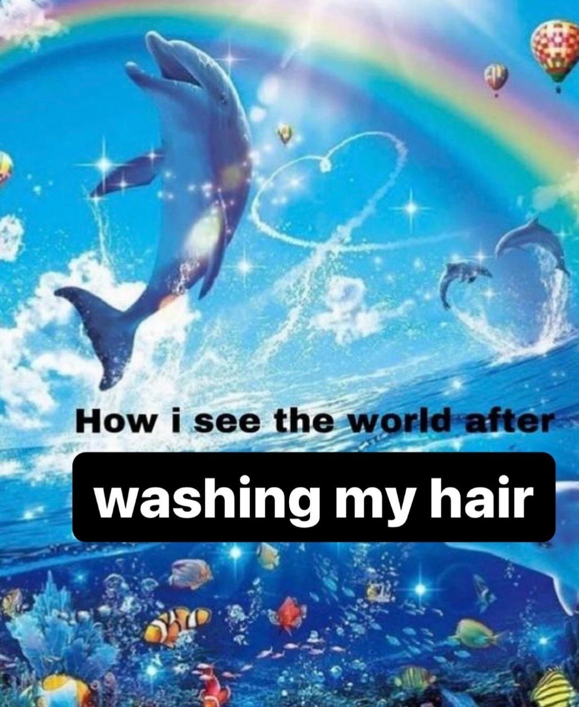 18 Best Rainbow Dolphin Memes: Templates and Meaning