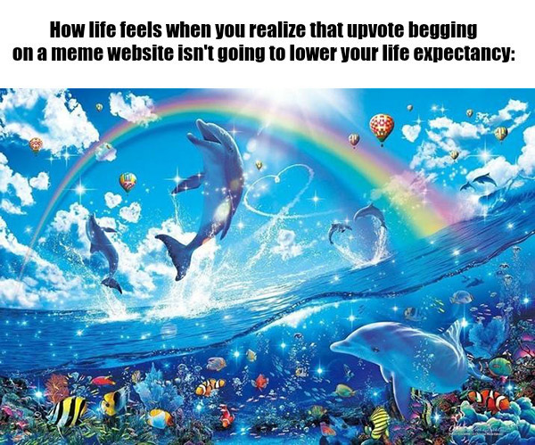 18 Best Rainbow Dolphin Memes: Templates and Meaning