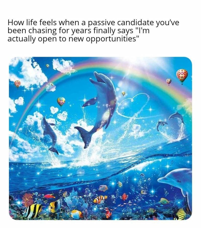 18 Best Rainbow Dolphin Memes: Templates and Meaning