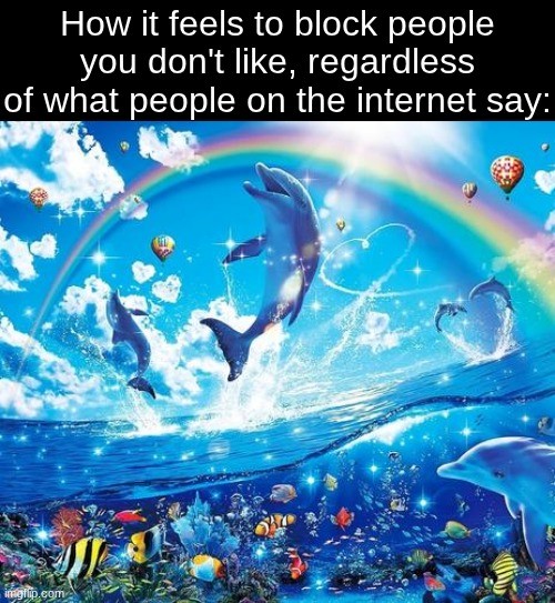 18 Best Rainbow Dolphin Memes: Templates and Meaning