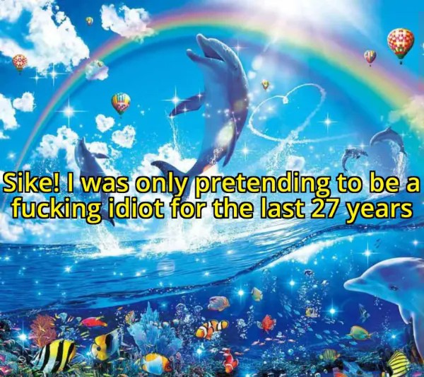 18 Best Rainbow Dolphin Memes: Templates and Meaning
