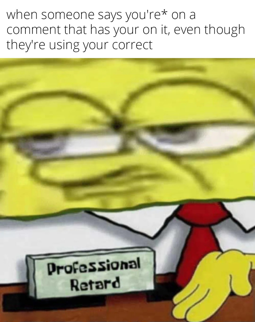 18 Funniest SpongeBob "Professional Retard" Meme Variations