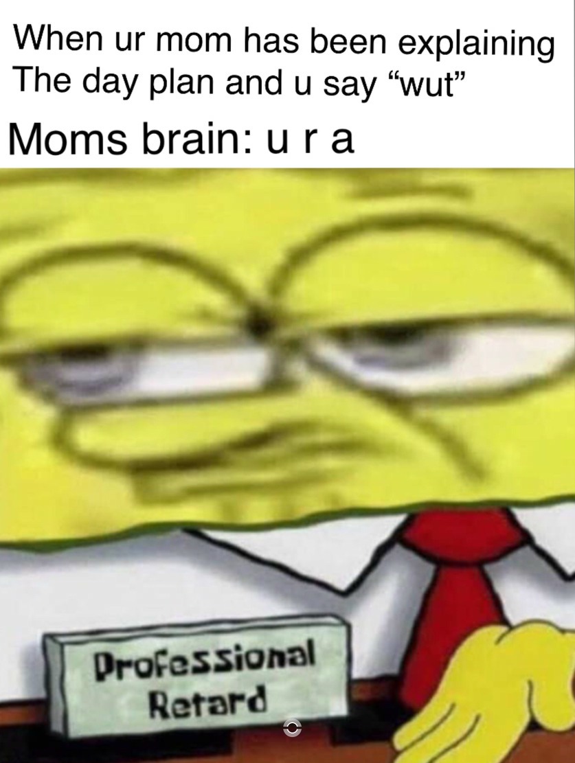 18 Funniest SpongeBob "Professional Retard" Meme Variations