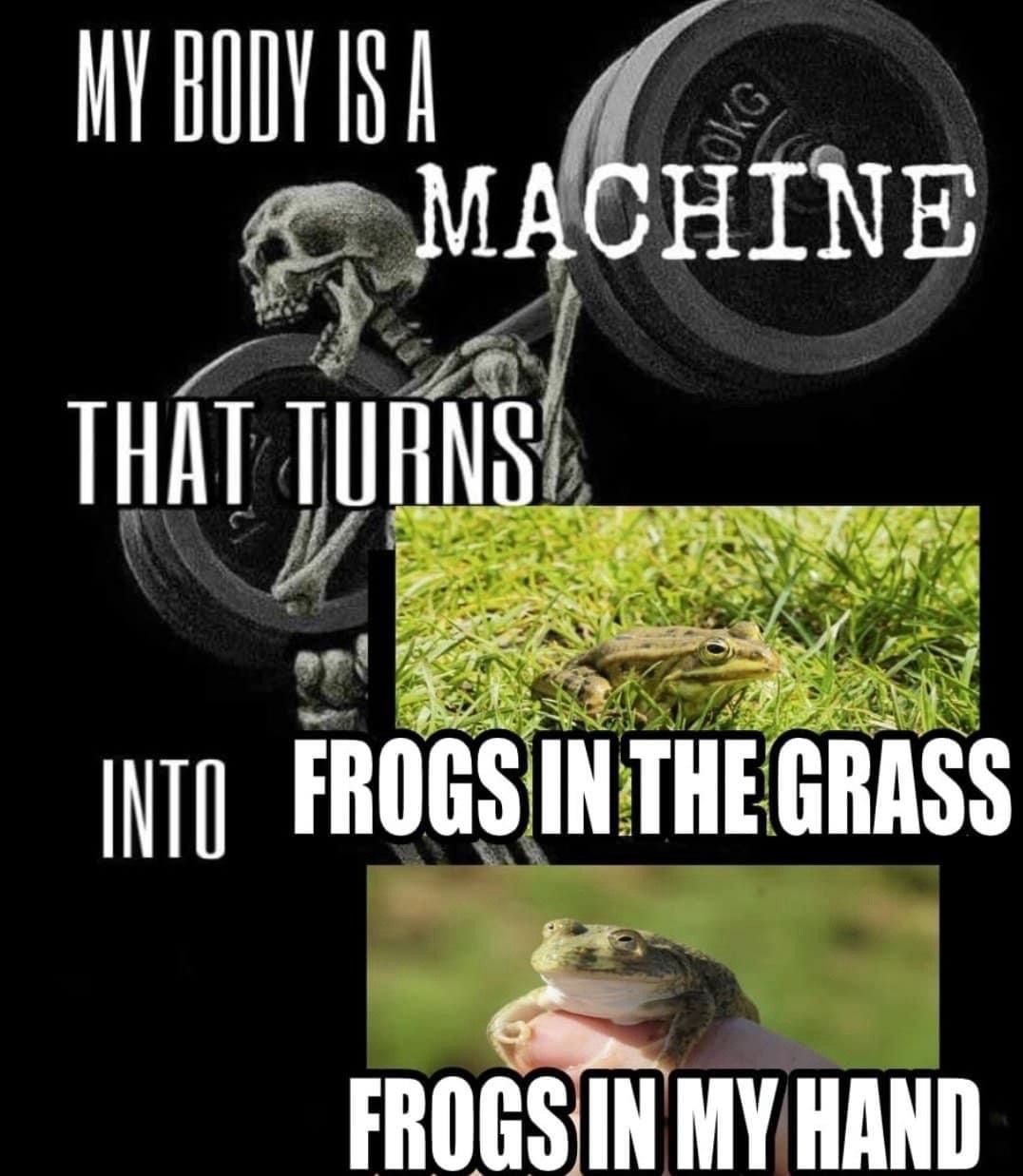 20 My Body Is a Machine Meme Examples and Template