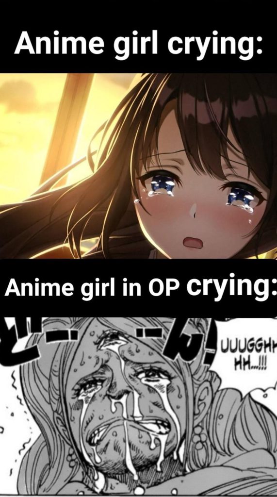 Anime Girl Crying Vs In Opening Crying Meme