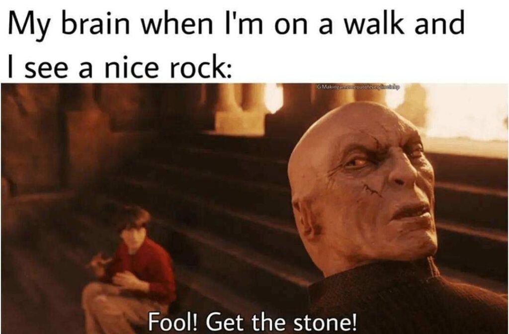 My brain when I'm on a walk and I see a nice rock
