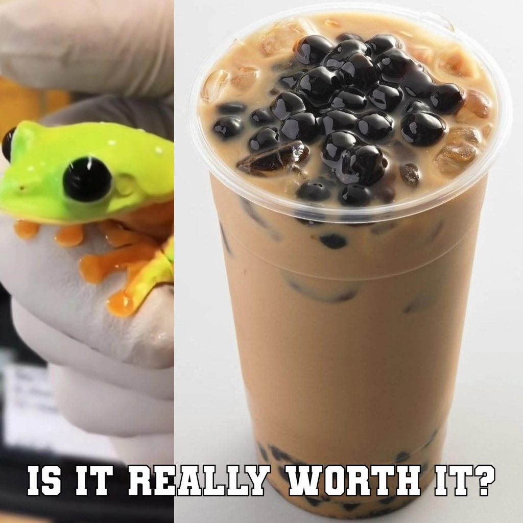 Is it really worth it frog and boba tea meme