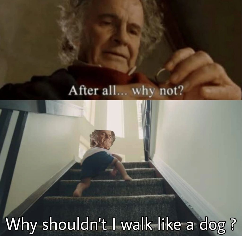 After all why not why shouldn't I walk like a dog