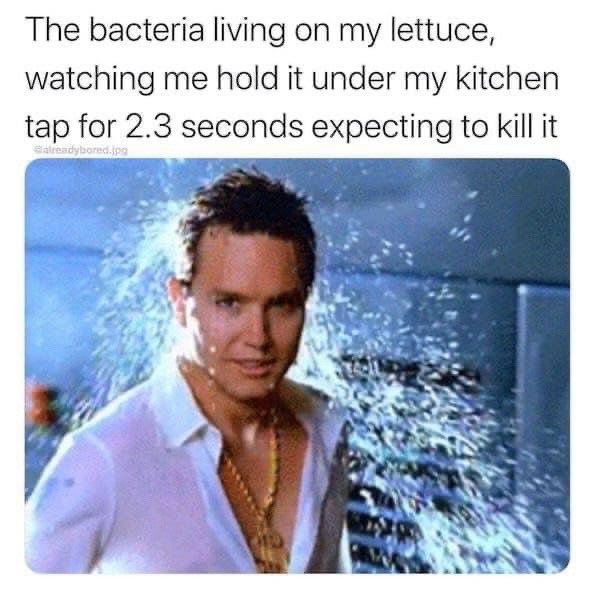 Bacteria on lettuce watching being washed under tap