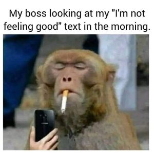 Boss reaction to i'm not feeling good text.