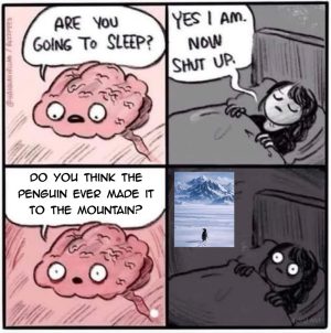 Brain asking about penguin reaching mountain while trying to sleep
