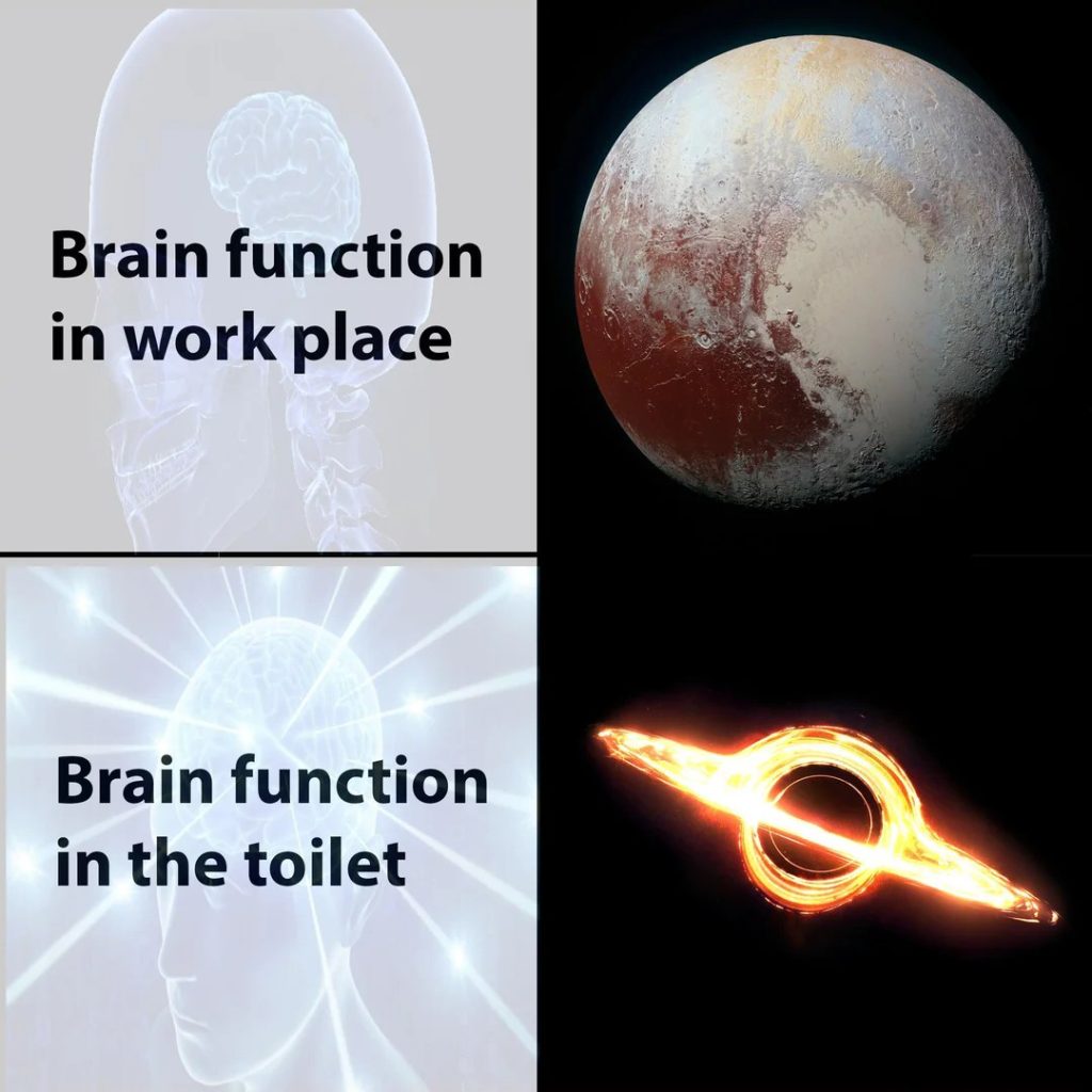 Brain function meme work place toilet