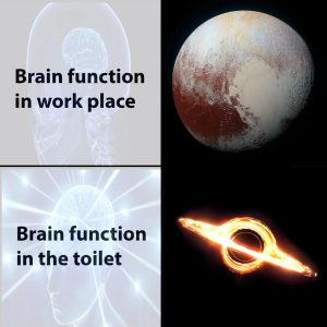 Brain function meme work place toilet