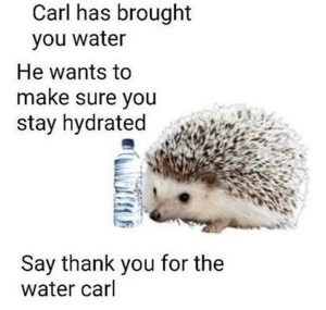 Carl brings you water meme with cute hedgehog cartoon