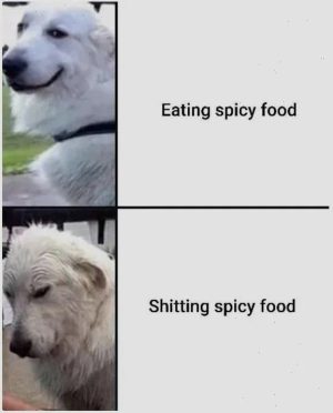 Eating spicy food meme dog