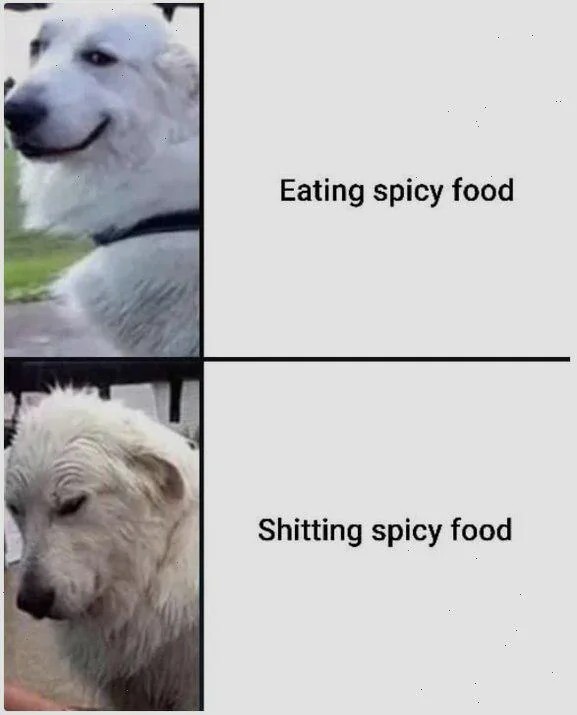 Eating spicy food meme dog
