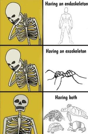 Having an endoskeleton having an exoskeleton having both meme