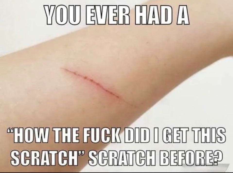 How the fuck did I get this scratch meme.