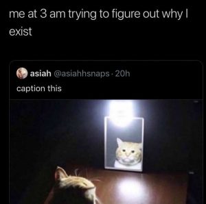 Me at 3 am trying to figure out why I exist.