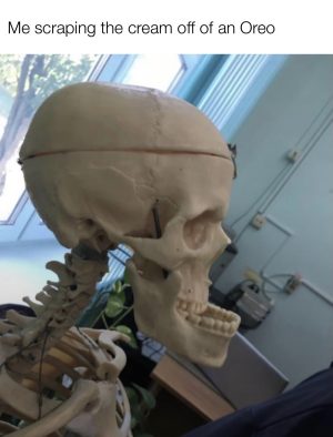 Me scraping the cream off of an oreo