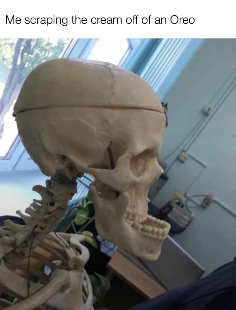 Me scraping the cream off of an oreo