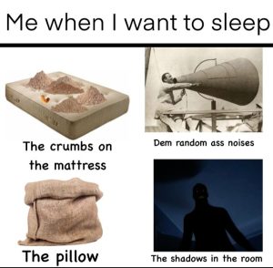 Me when I want to sleep meme about bedtime struggles